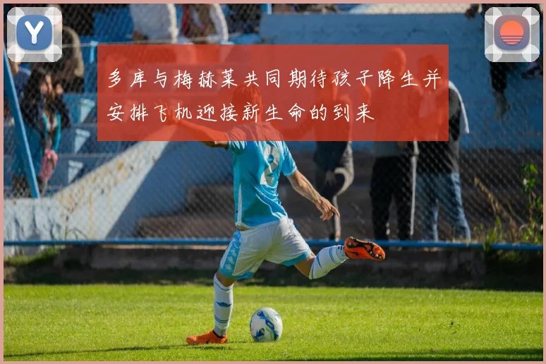 多库与梅赫莱共同期待孩子降生并安排飞机迎接新生命的到来